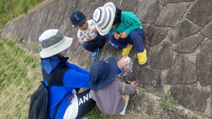 おおきなチョーク石