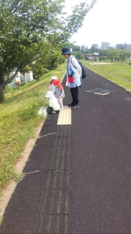 「あかむし」に　はまる