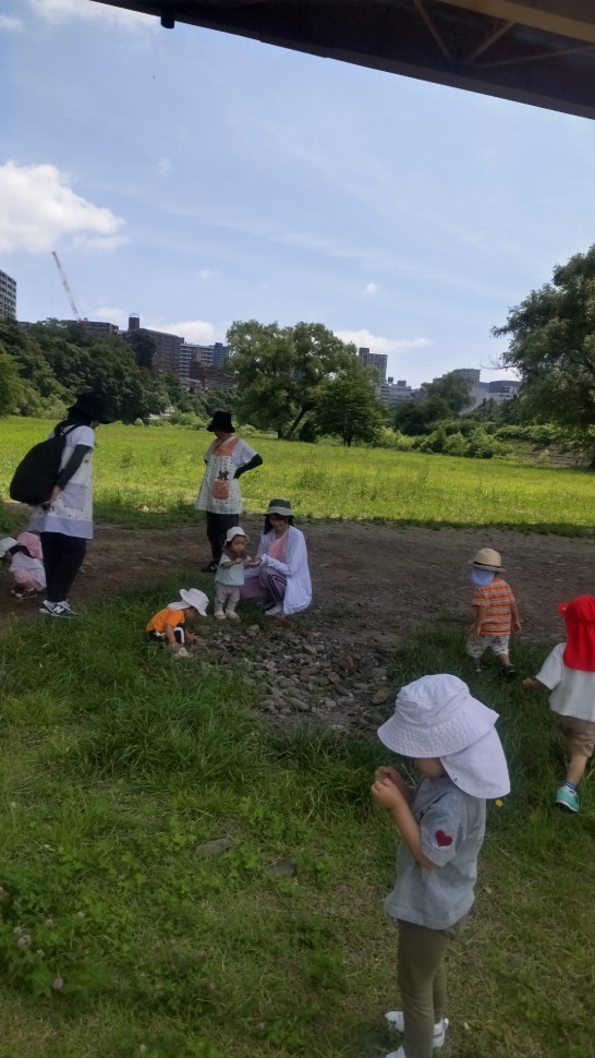 程よい日陰